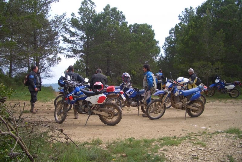 CIMG3134 [800x600]_jpg